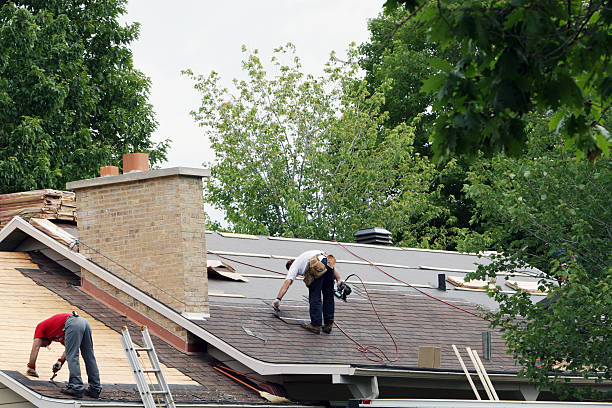 Best Metal Roofing Contractor  in Las Campanas, NM